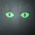 katze acryl 30x30 70