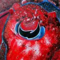 Auge Tintenfisch Oel auf Keilrahmen 30x30 170E